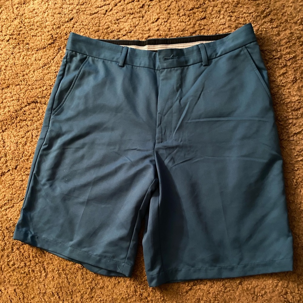 Teal/ Blue canvas shorts
